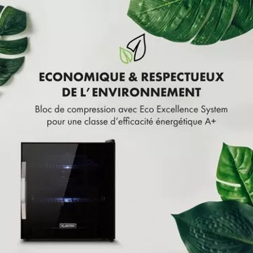 Mini réfrigérateur KLARSTEIN Beersafe L 47 litres - Noir – Image 4