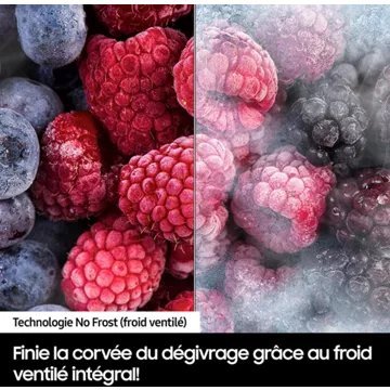 Congélateur encastrable SAMSUNG BRZ22600EWW/EF – Image 6