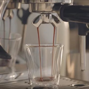 Expresso broyeur SAGE APPLIANCES – Image 5